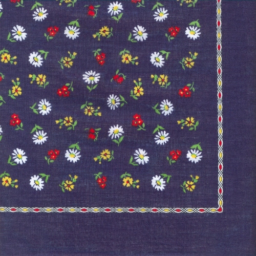 Nicky Tuch Margeriten und Vergissmeinnicht, 53x53cm
