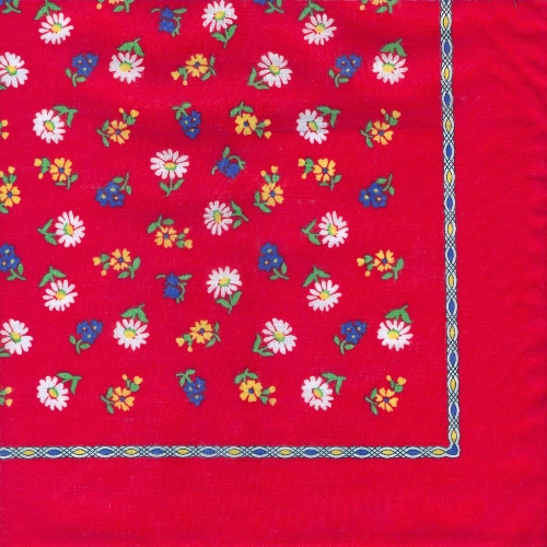 Nicky Tuch Margeriten und Vergissmeinnicht, 53x53cm