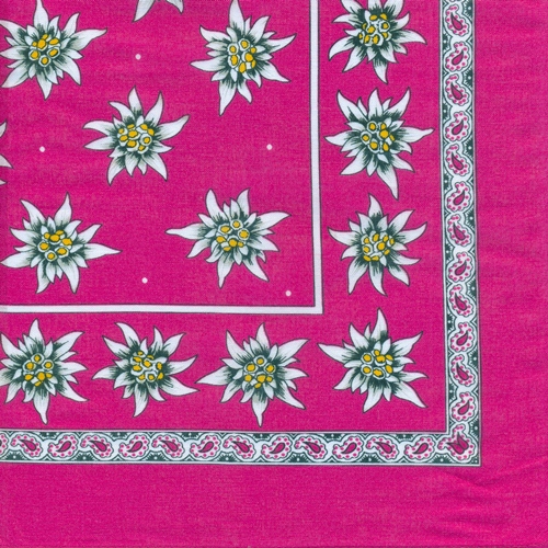 Kopftuch / Halstuch Edelweiss, pink 78x78